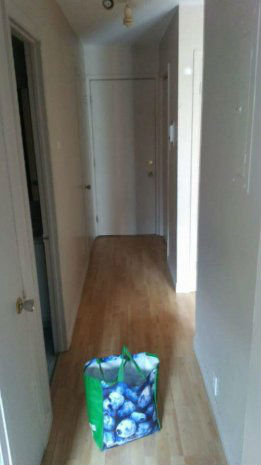 54798845931441068748728