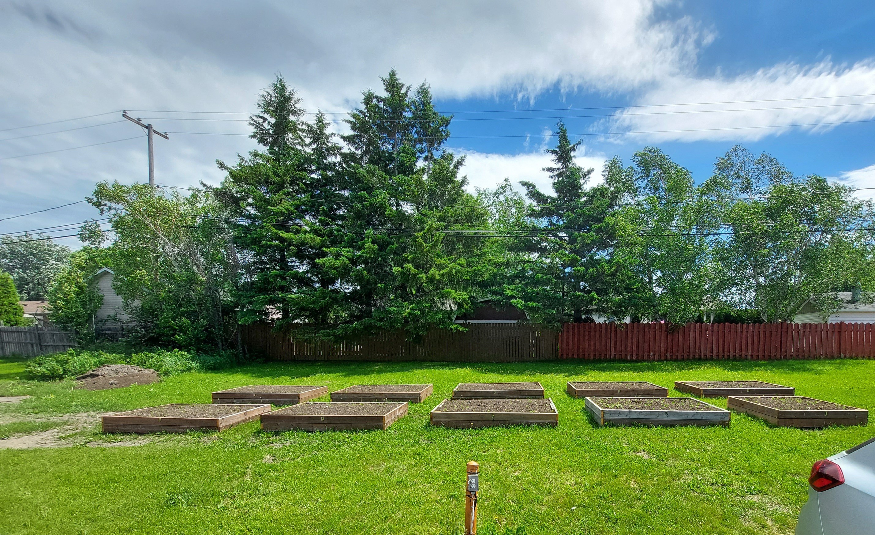 Jardin 1