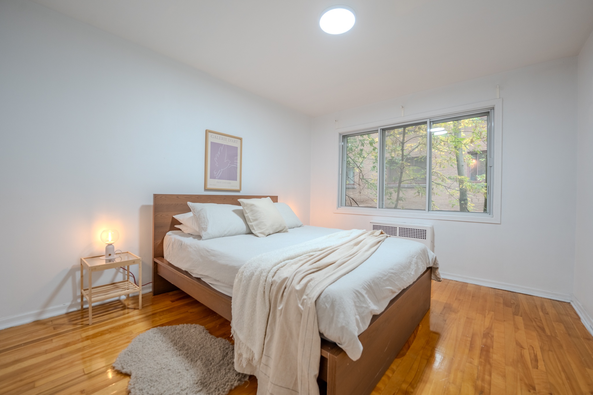 20251007-DSC08676-HDR