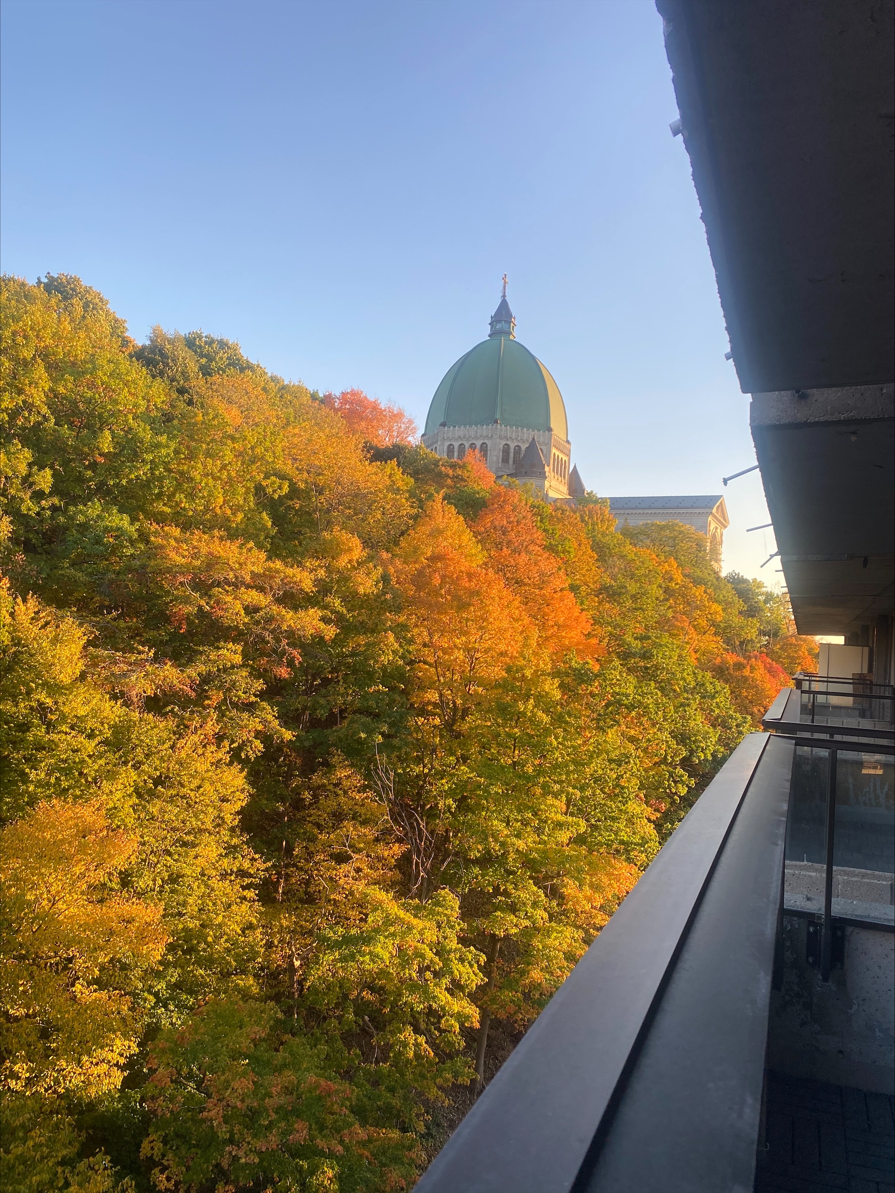 vue