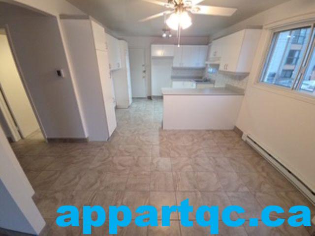 salle à manger et cuisine