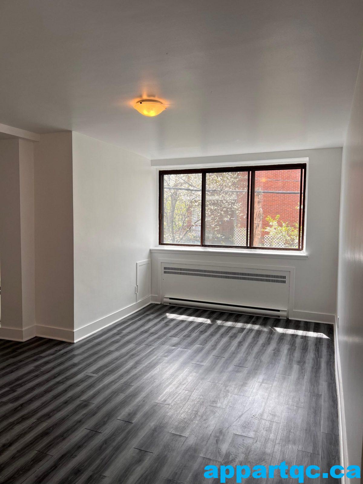 WhatsApp-Image-2025-05-15-at-5.38.27-PM-1-scaled[1]