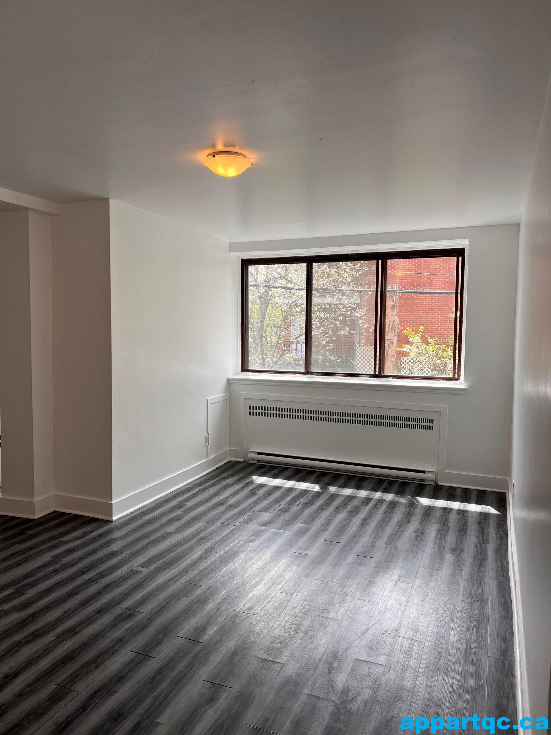 WhatsApp-Image-2025-05-15-at-5.38.27-PM-1-scaled[1]