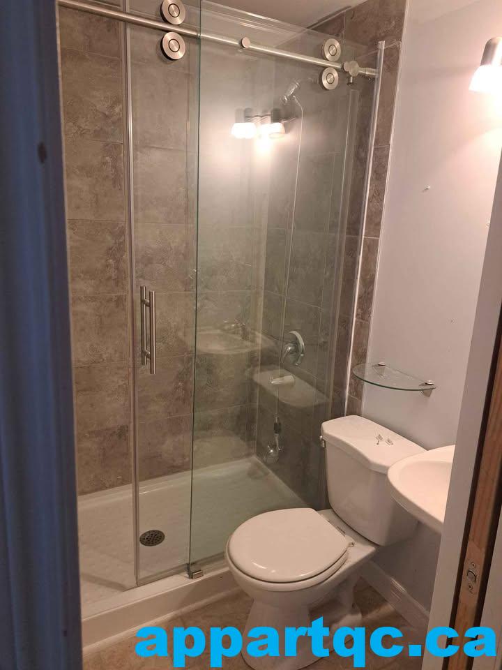 487312826_3840480449523396_5823343908253127413_n[1]