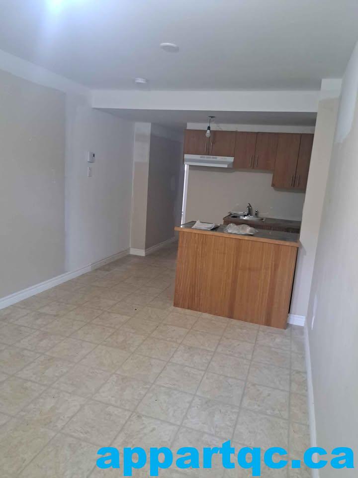 487334041_3840480502856724_8150231964895068248_n[1]