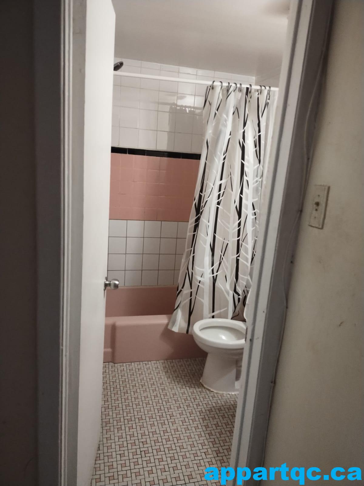 WhatsApp Image 2025-11-11 à 20.20.41_1f139c19