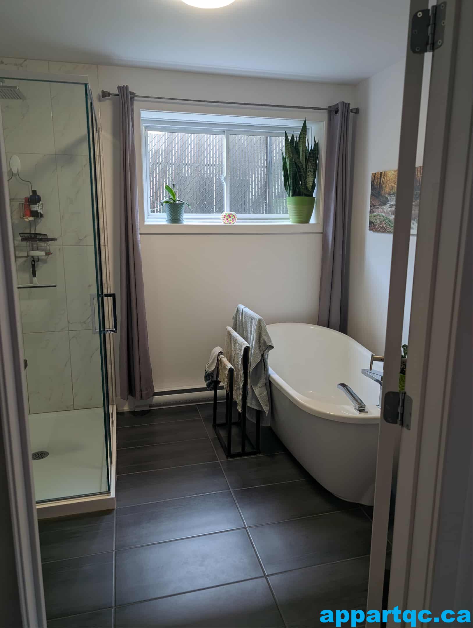 0b6082db-b41f-4064-acd5-440188899177