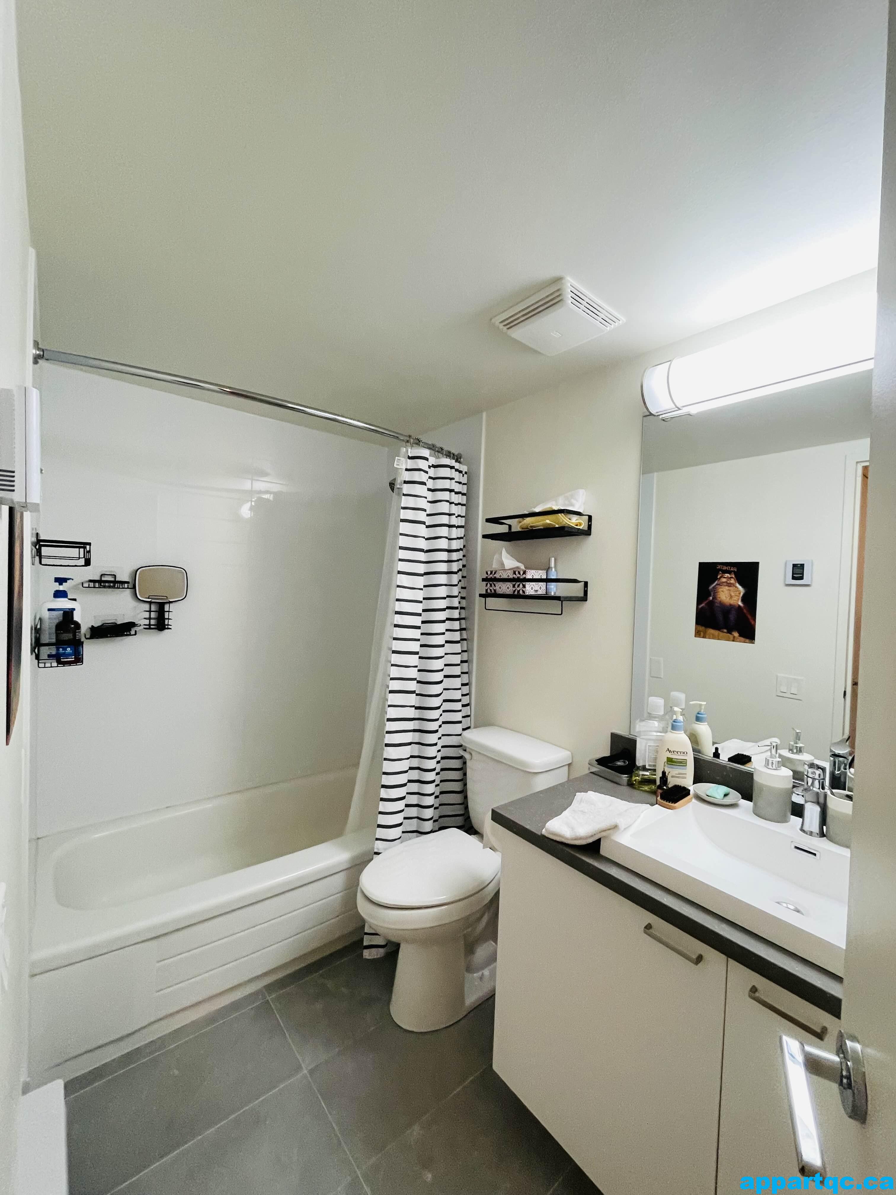 Salle de bain 1 - Copie