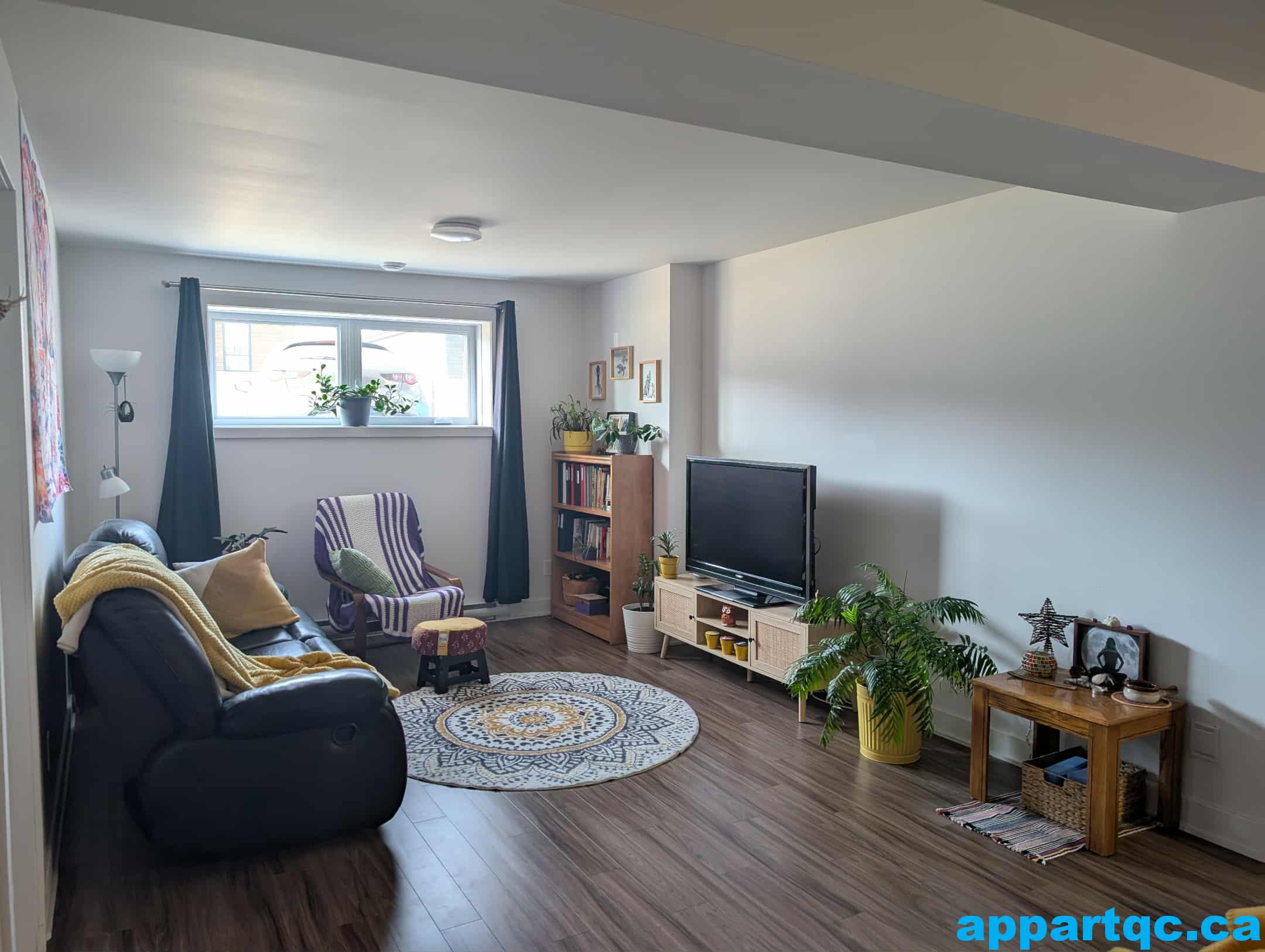 d2909f44-c648-4e44-a601-7bf4b49e0c59