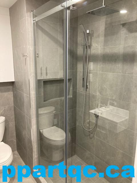 Douche italienne (rainshower)