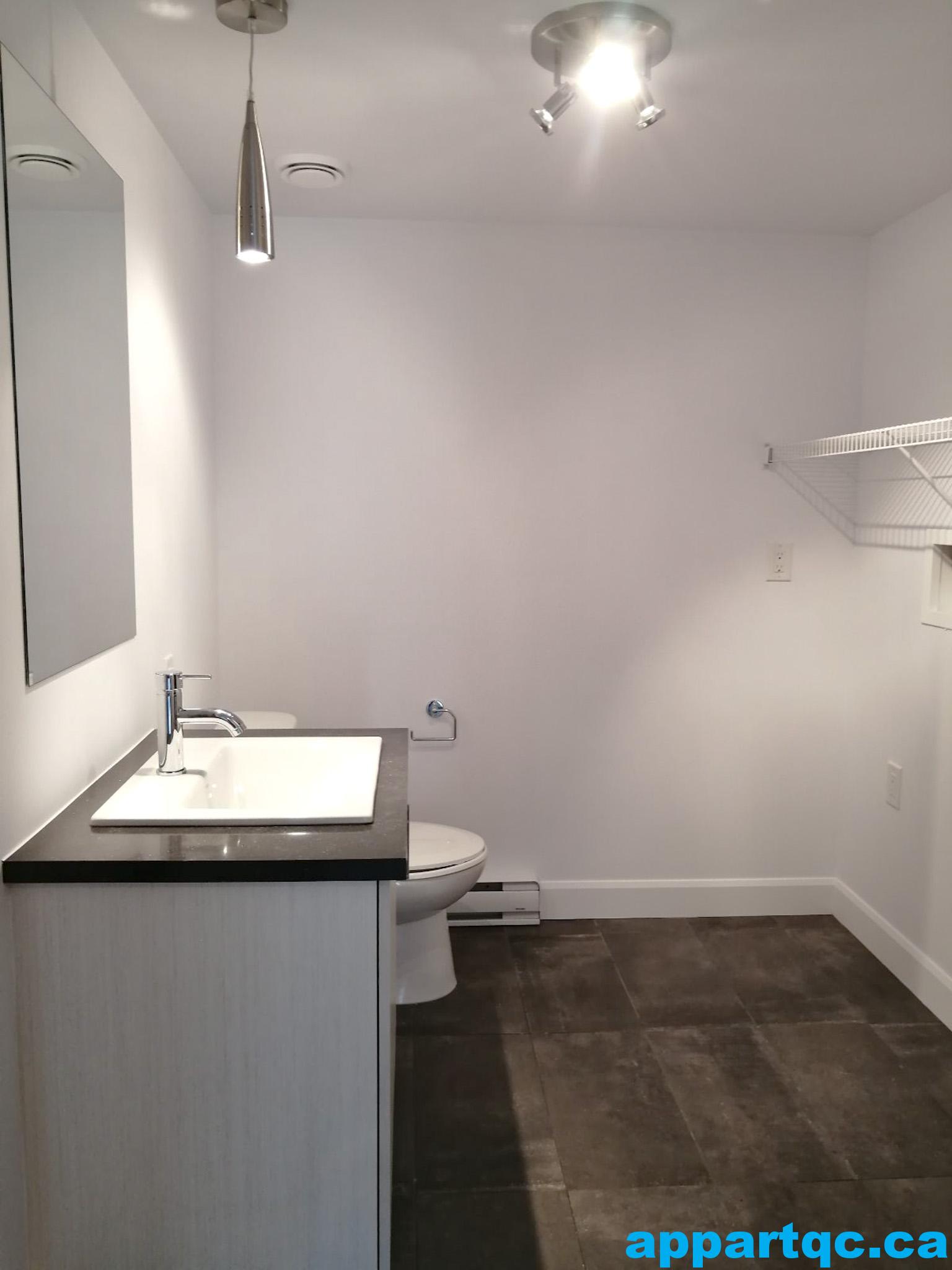 Henri LOGISMJ - 5 et demi - SDB 2