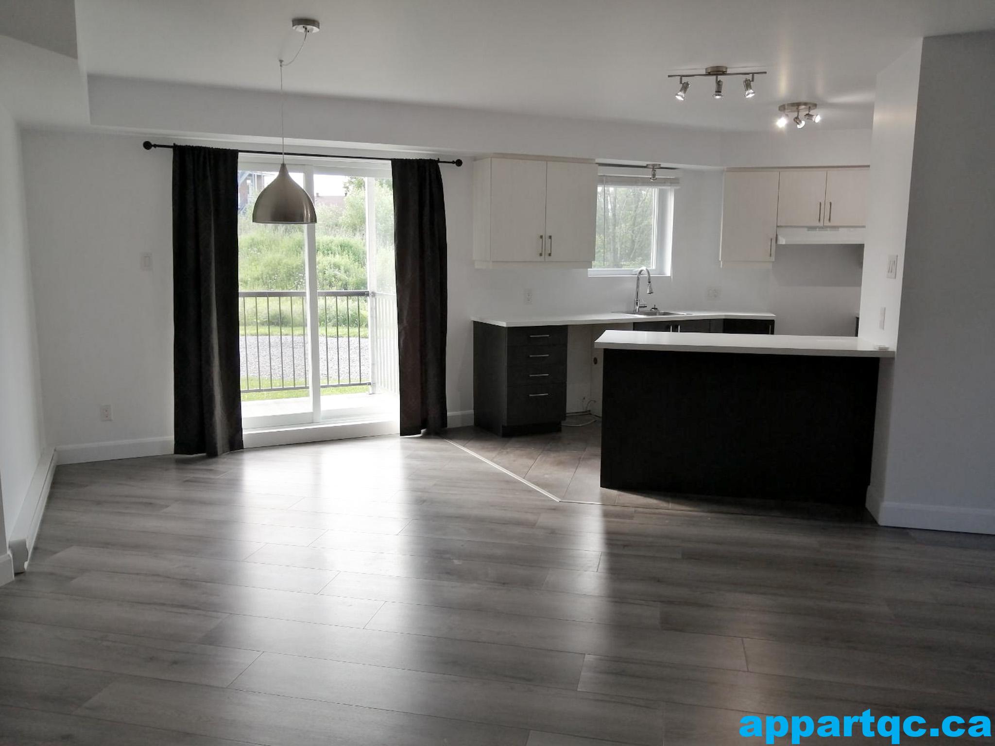 Henri LOGISMJ - 5 et demi - Cuisine