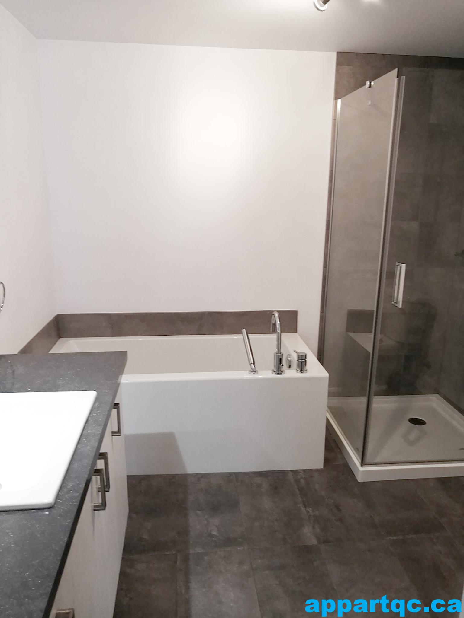 Henri LOGISMJ - 5 et demi - SDB 1