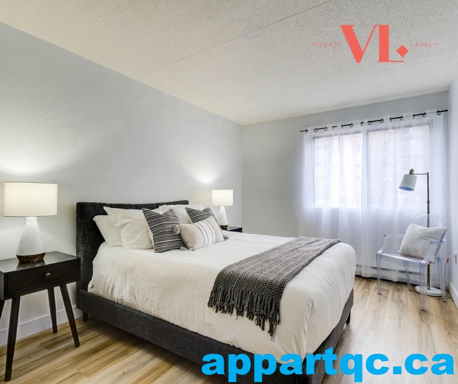 484119803_1169765408073184_2625657342041490302_n