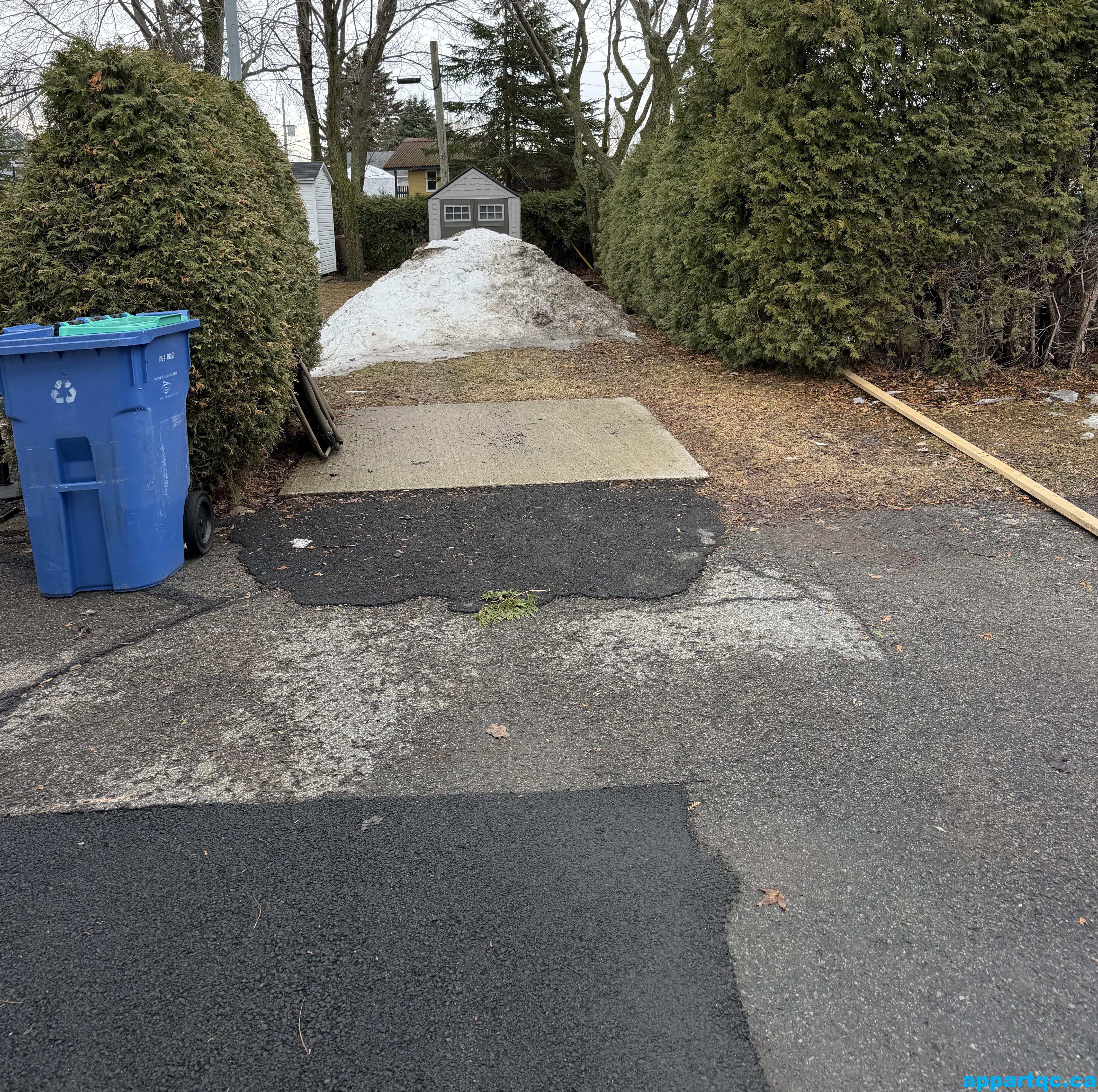 2026-04-03_12-24-18_593 (2)