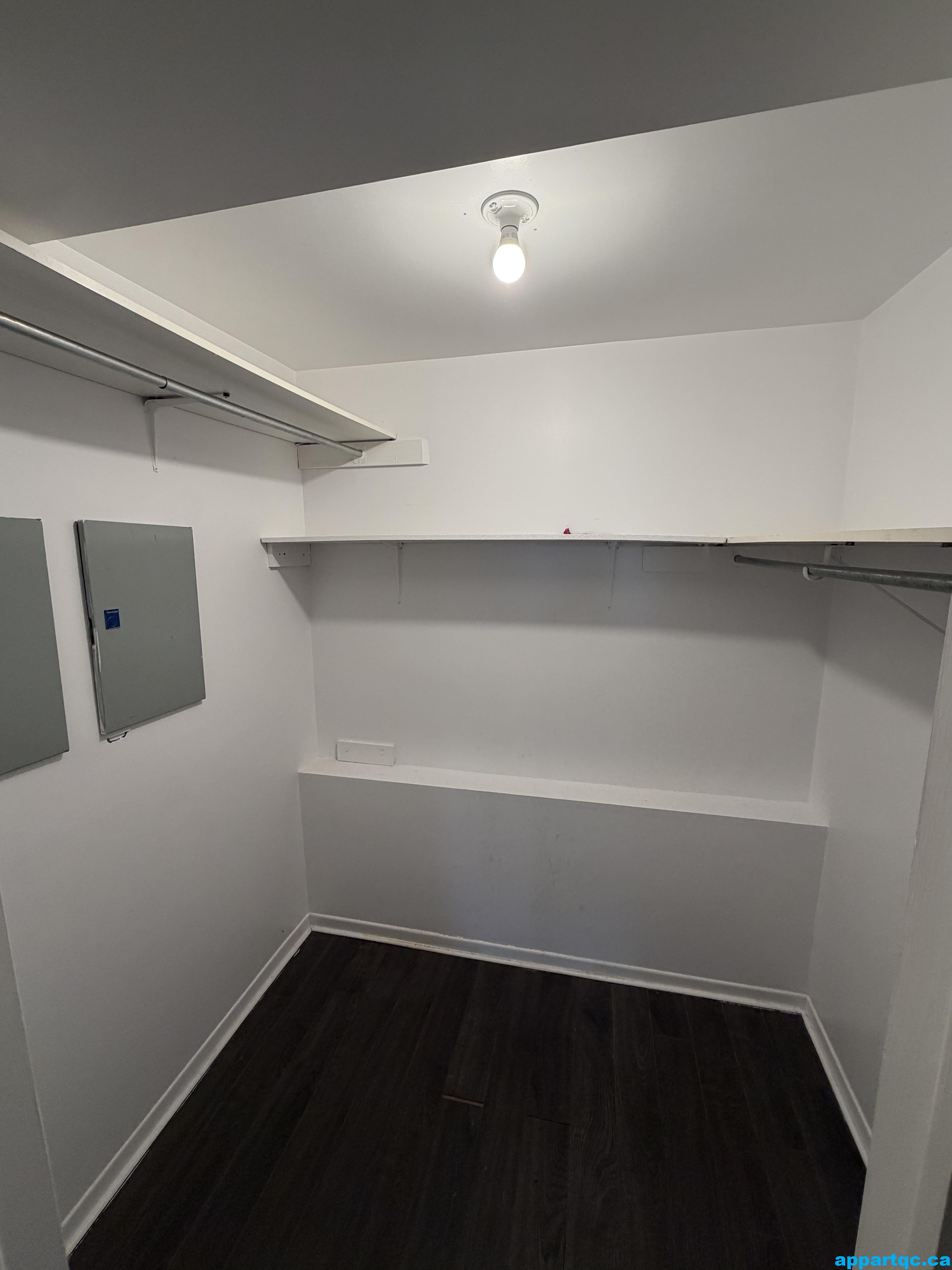 2026-04-03_12-17-34_729