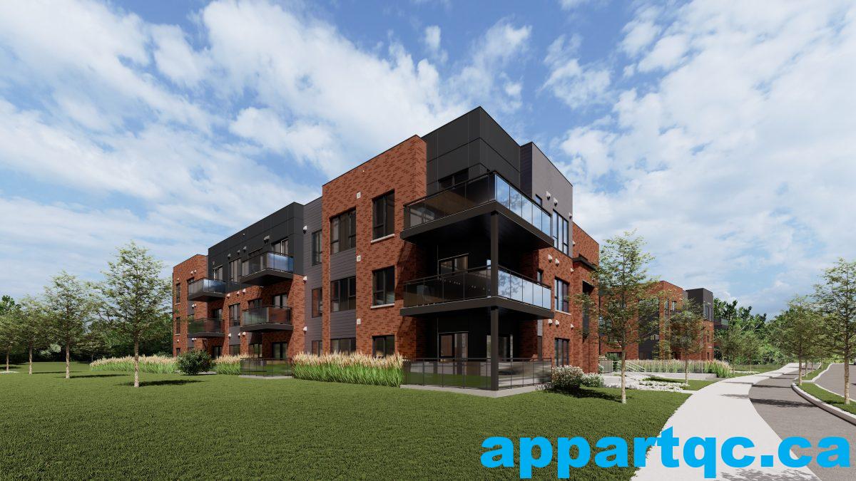 20-446_Batiment E copie