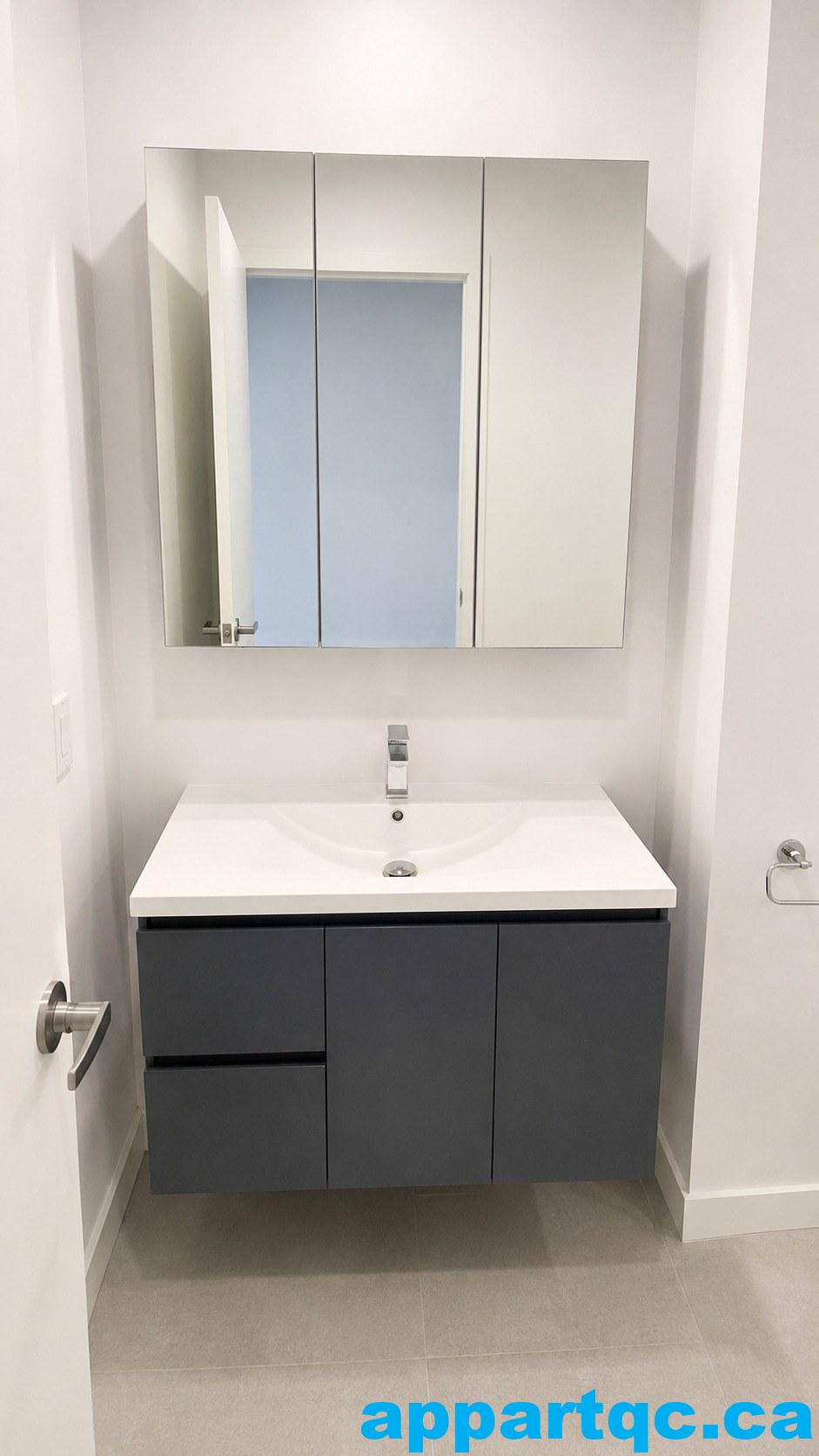 14_salle_de_bain_vanite