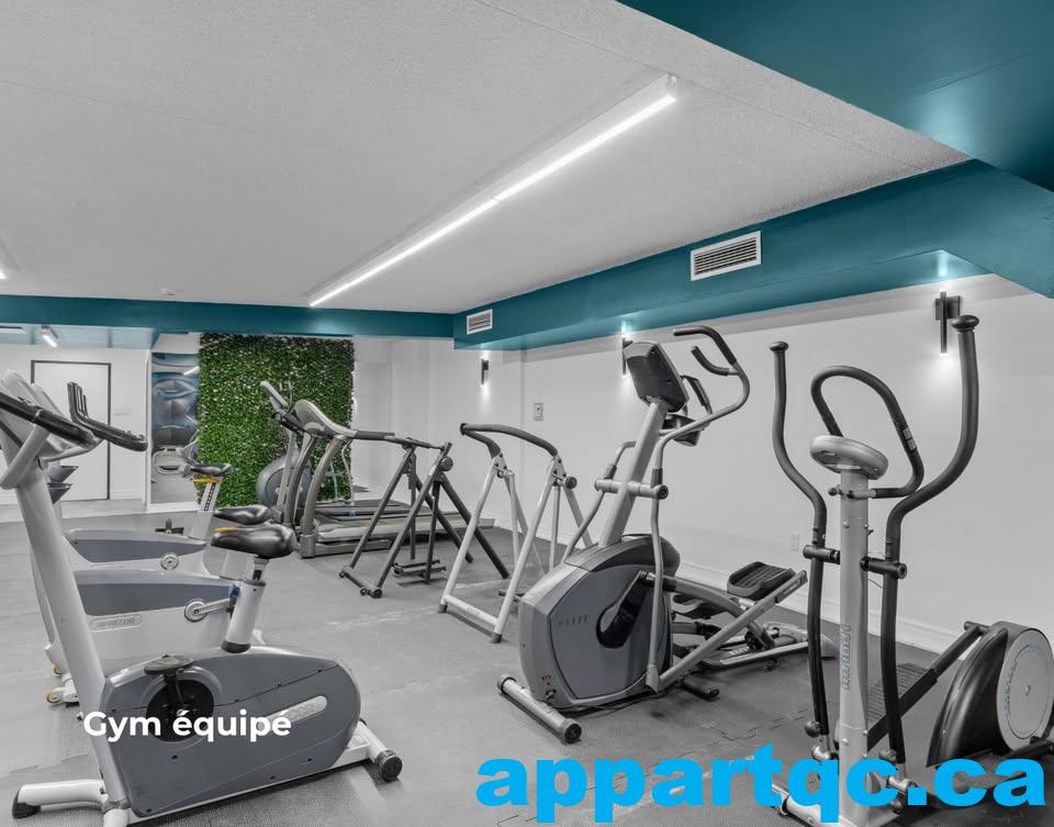 Gymnase