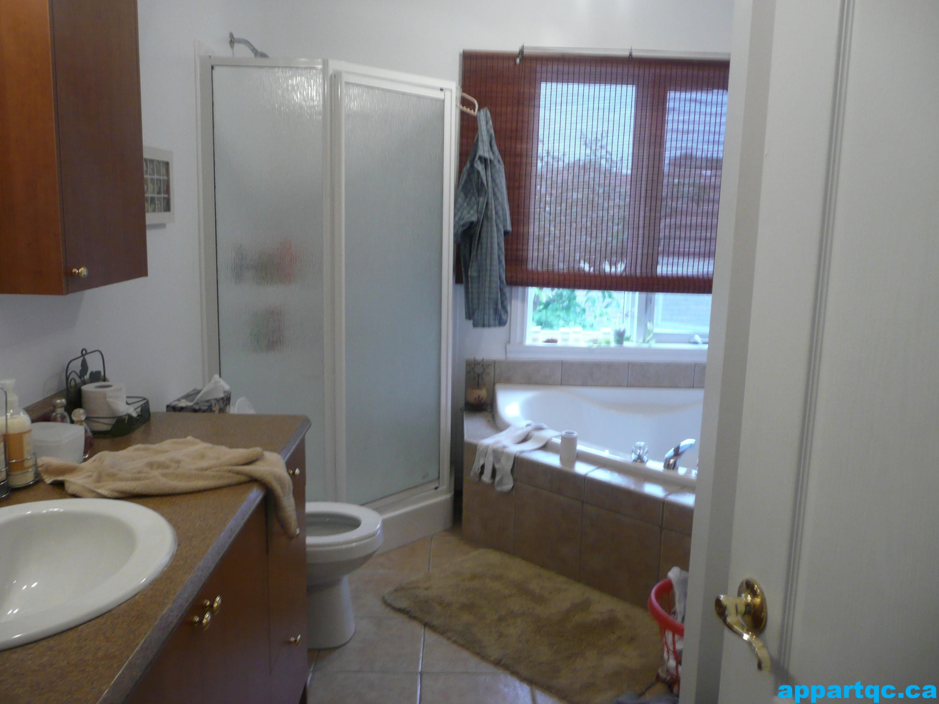 location logement 007